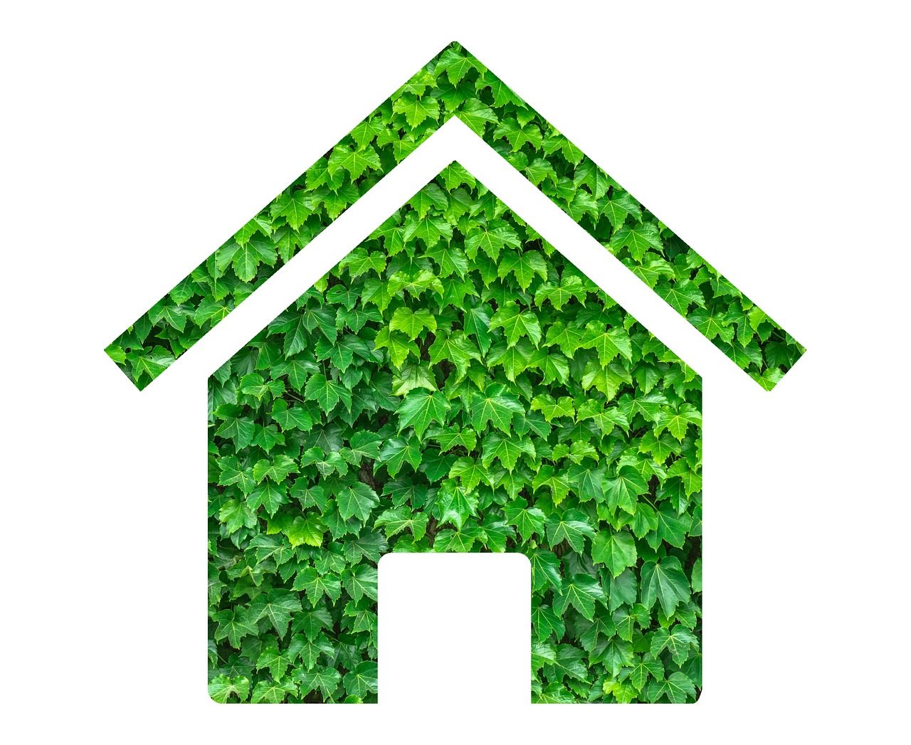 A Guide to Green, Energy-Efficient Mortgages