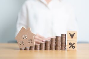 What Is the Fannie Mae RefiNow™ Program?