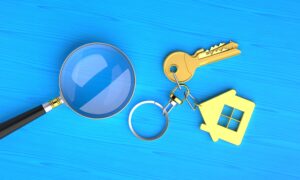 Bridge Loan vs. HELOC